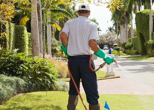 About Dunbar WV Pest Control